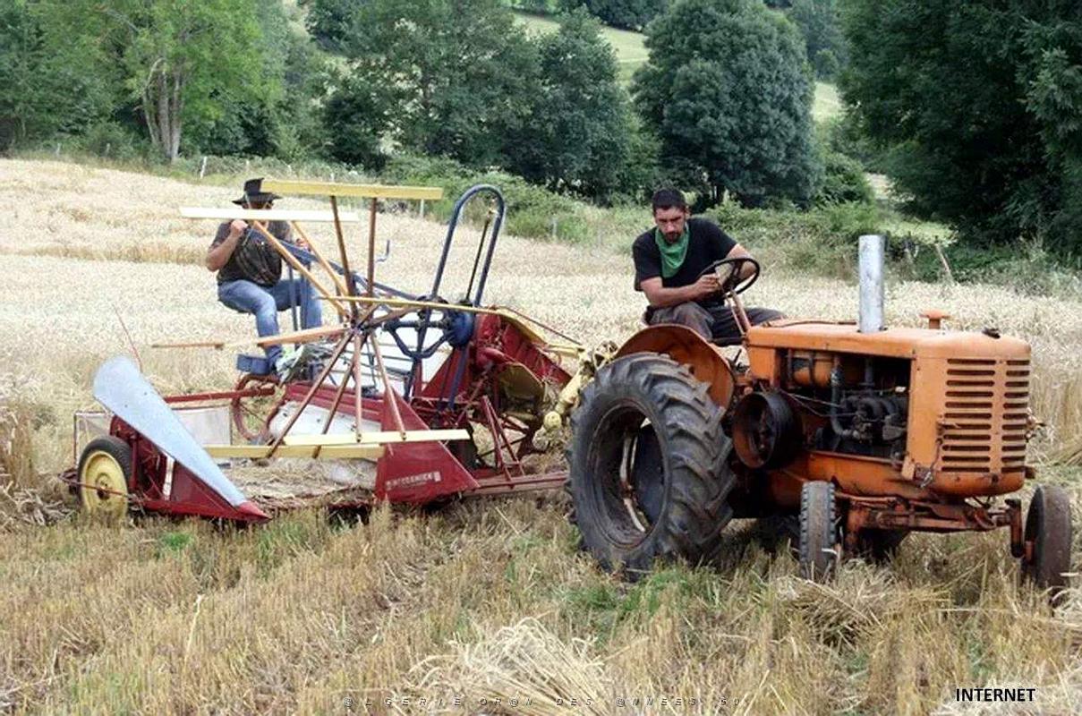 Espinas - Fete Fenaisons - 89.jpg